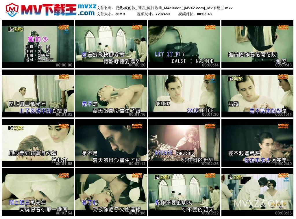 爱戴-疯的沙_国语_流行歌曲_MA103611